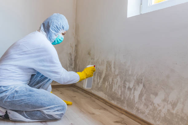 Asbestos and Lead Testing During Mold Inspection in Dallas Center, IA