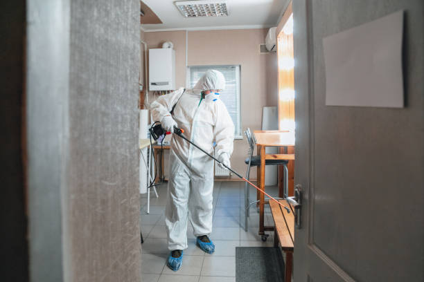 Best Post-Remediation Verification Testing  in Dallas Center, IA