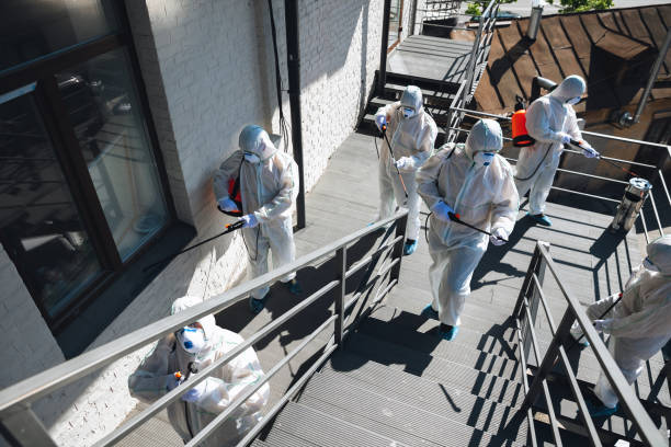 Best Forensic Mold Investigation  in Dallas Center, IA