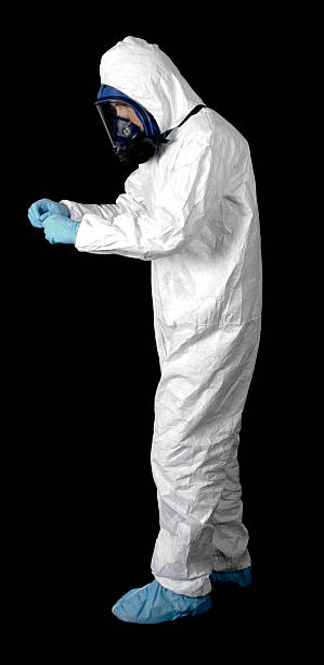 Trusted Dallas Center, IA Mold Removal Experts