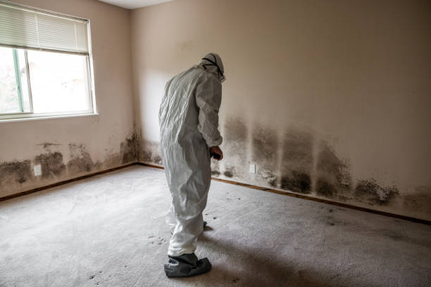 Best Commercial Mold Inspection  in Dallas Center, IA